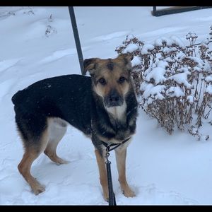 Meet your Posher, Kelsey